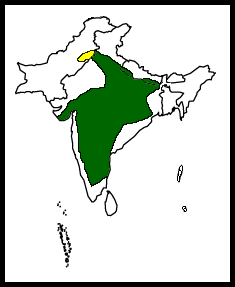 Map-IndianGreyHornbill.png