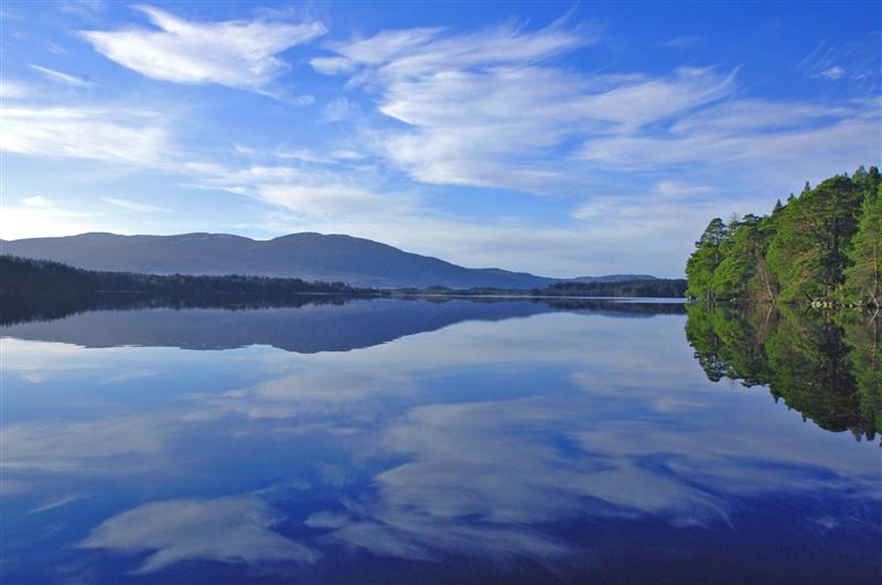 Loch Garten - BirdForum Opus | BirdForum