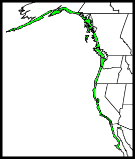 Map-Black Oystercatcher.png