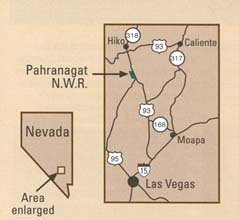 Pahranagut loc.jpg