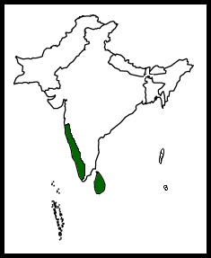 Map-IndianSwiftlet.png