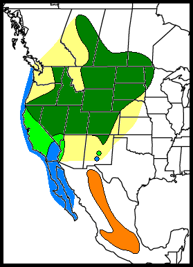 Map-Western Grebe.png