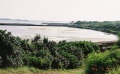 Tsai Yuan Jiu Yuan Wetland.JPG