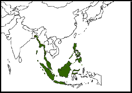Map-AsianGlossyStarling.png